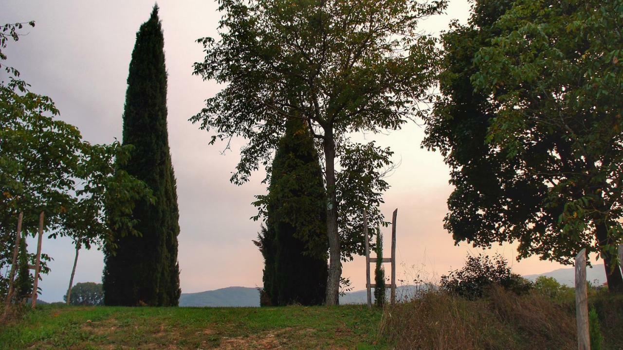 Agriturismo Casa Agricola Rossi Appartamenti In Casentino Soci Exteriér fotografie