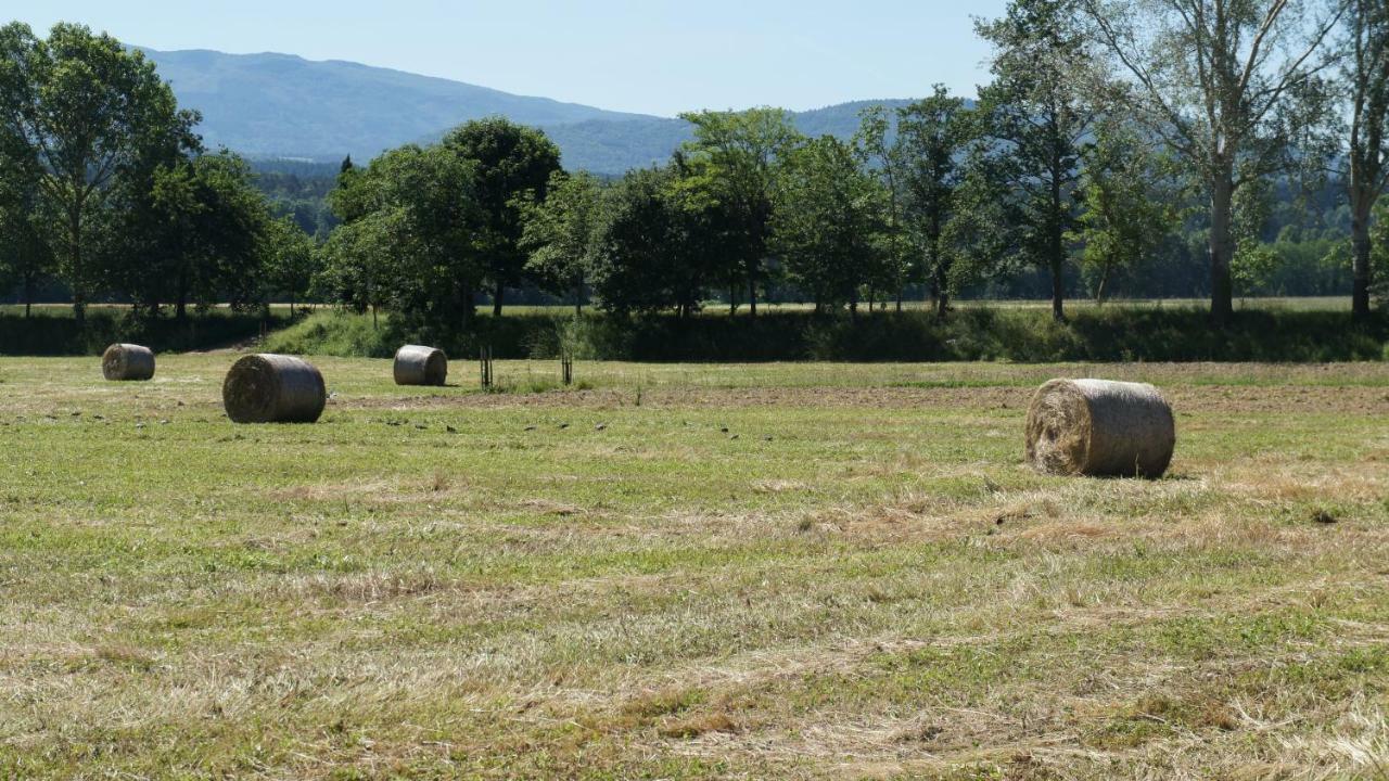 Agriturismo Casa Agricola Rossi Appartamenti In Casentino Soci Exteriér fotografie