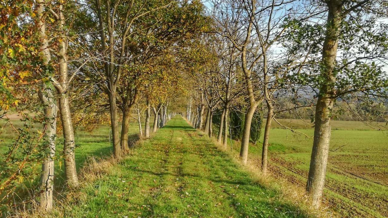Agriturismo Casa Agricola Rossi Appartamenti In Casentino Soci Exteriér fotografie