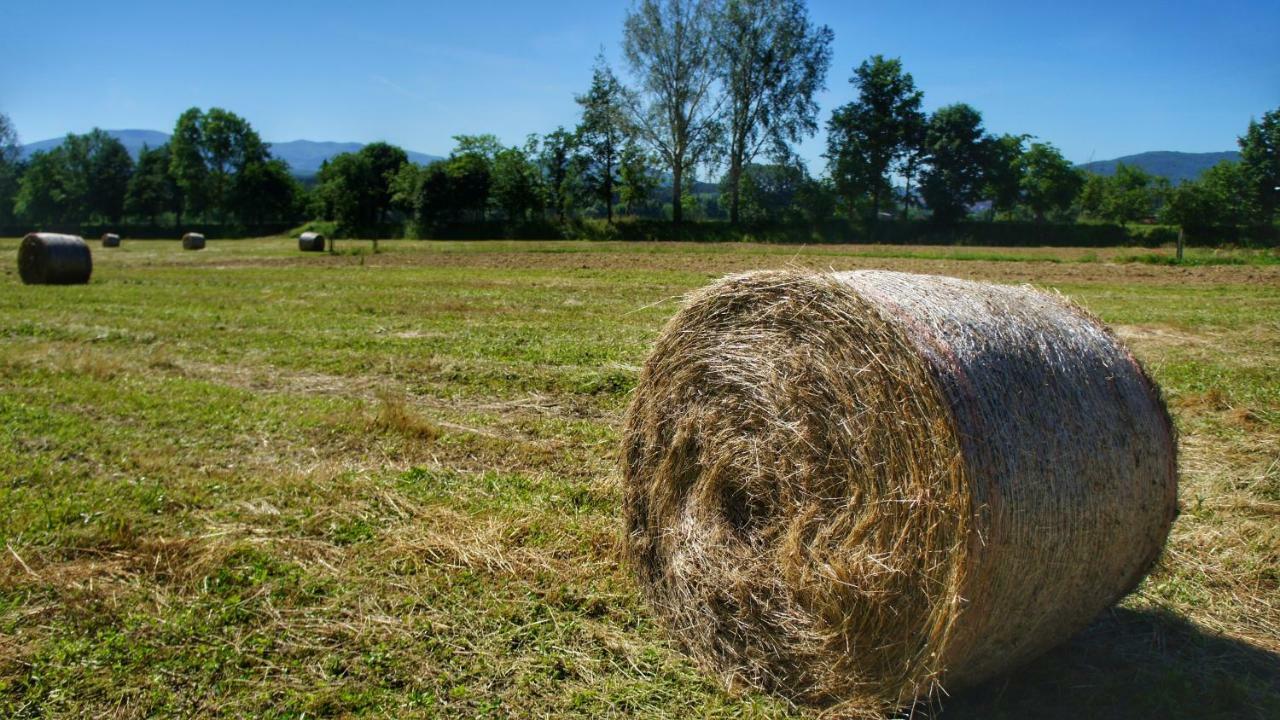 Agriturismo Casa Agricola Rossi Appartamenti In Casentino Soci Exteriér fotografie