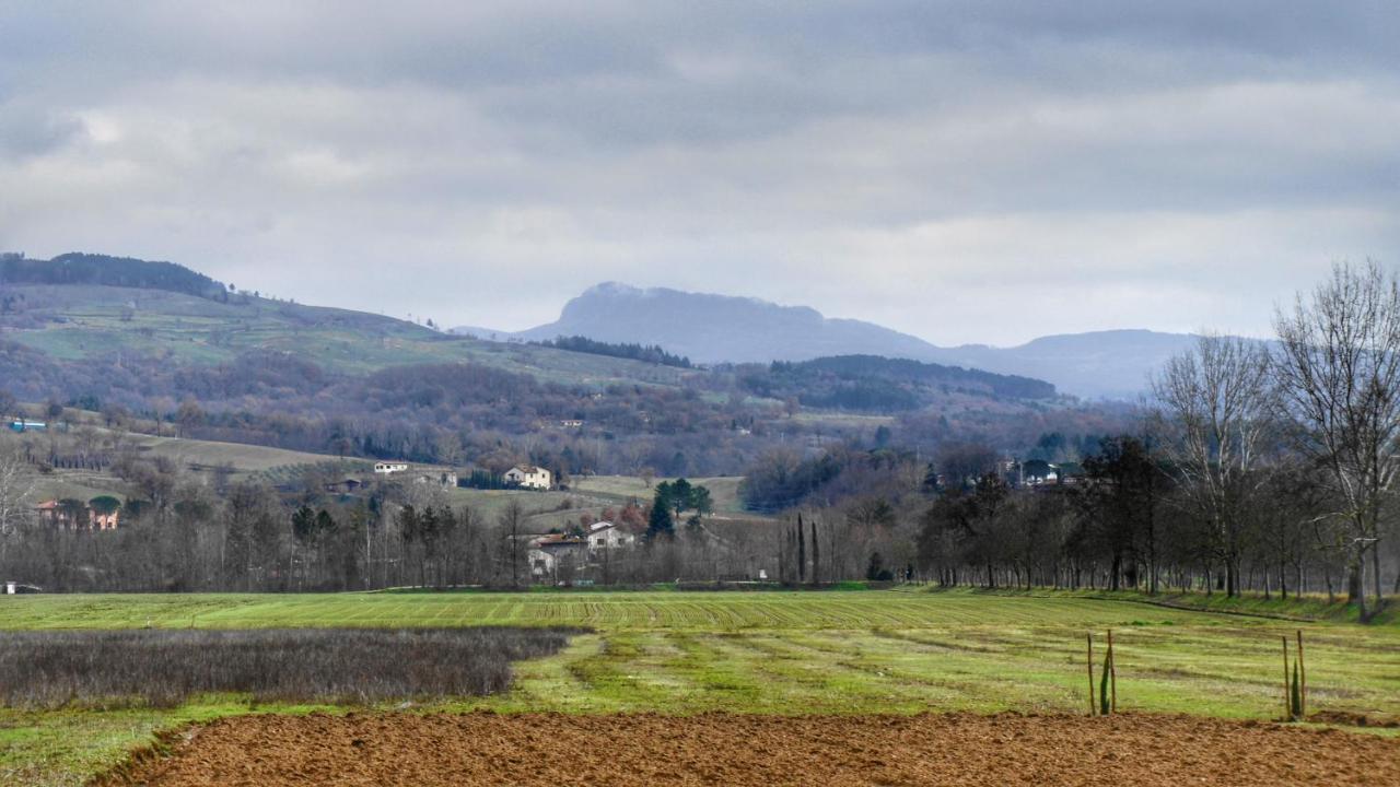 Agriturismo Casa Agricola Rossi Appartamenti In Casentino Soci Exteriér fotografie