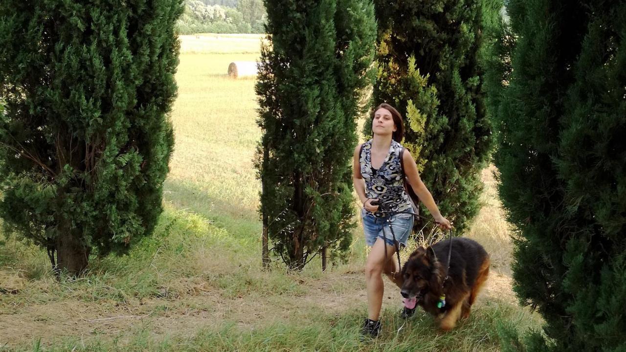 Agriturismo Casa Agricola Rossi Appartamenti In Casentino Soci Exteriér fotografie