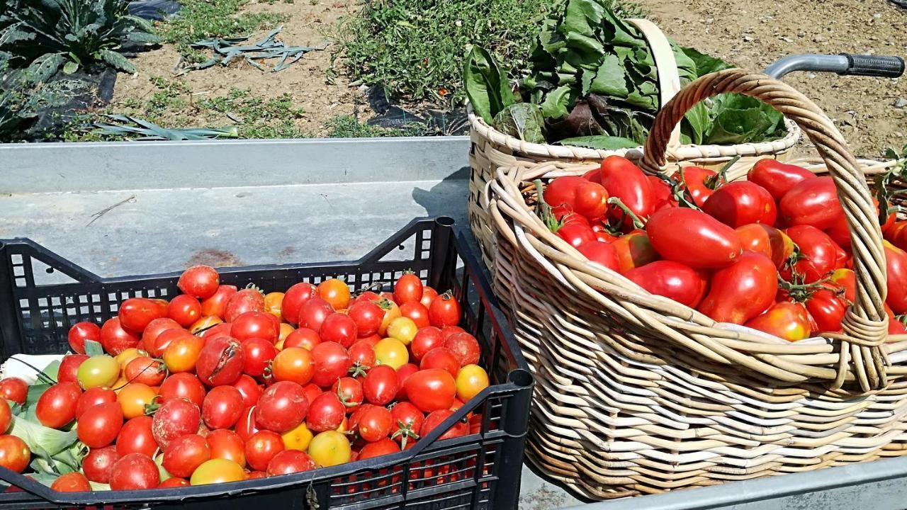 Agriturismo Casa Agricola Rossi Appartamenti In Casentino Soci Exteriér fotografie